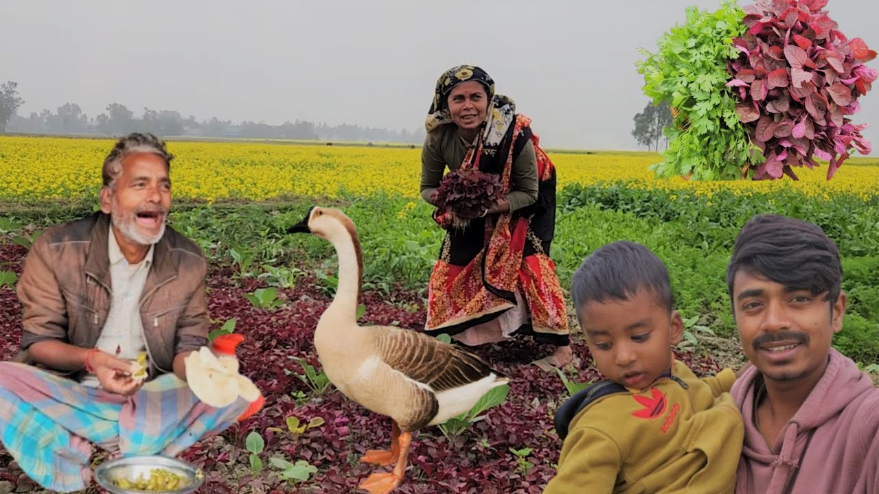 Bangladeshi Village Farmer Life Style Vlog | Simple Village Vlog,| Dali Village Life | Village Vlog