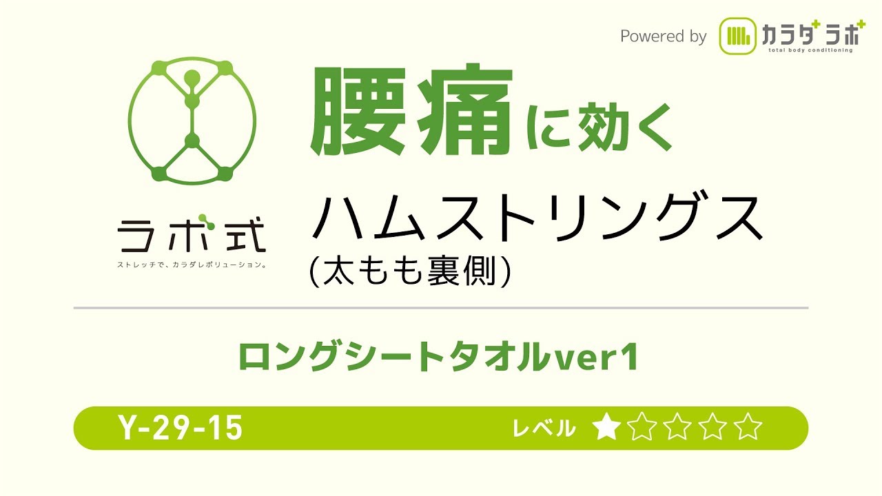 腰痛に効くツボ刺激に足裏・膝裏タオルストレッチ！高齢者・骨盤調整