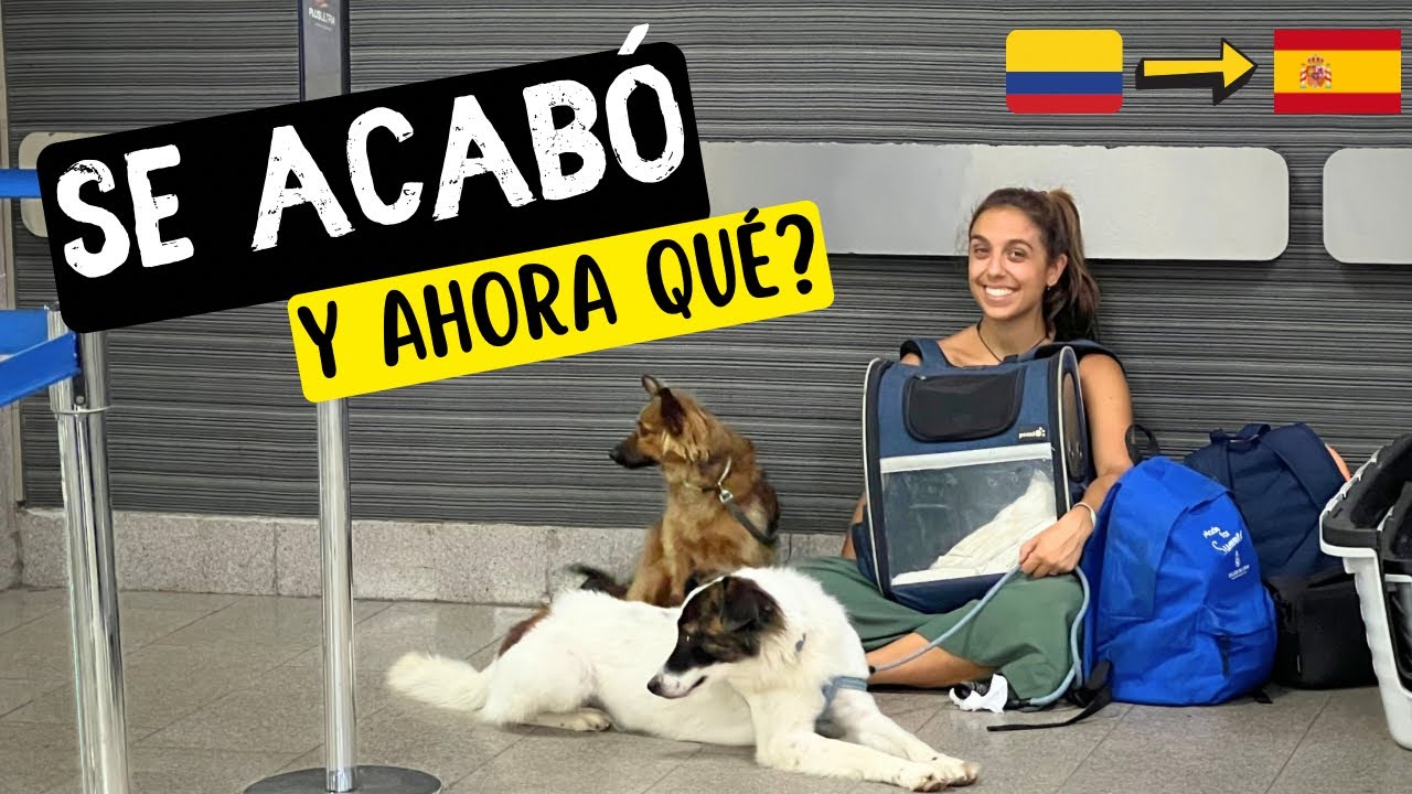 😱ENVIAMOS nuestra furgoneta CAMPER de COLOMBIA a EUROPA! Y volamos con nuestras 3 mascotas 🐾