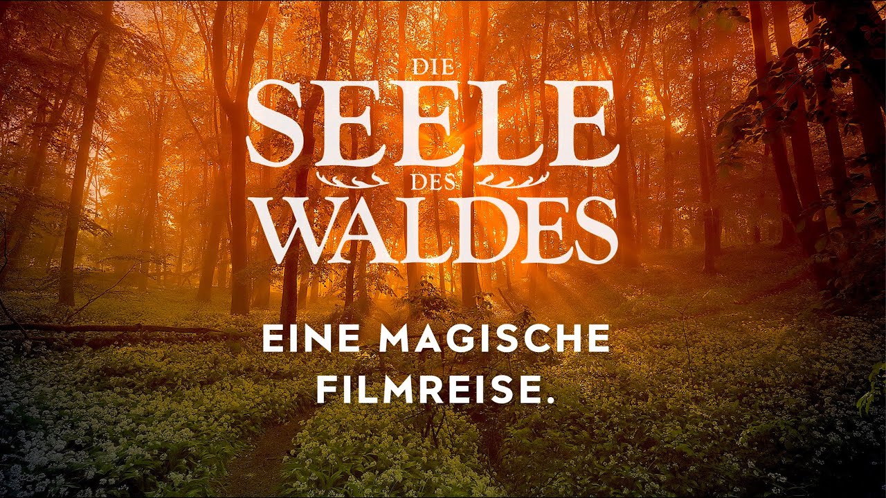 Die Seele des Waldes - Live-Film von & mit Stefan Erdmann