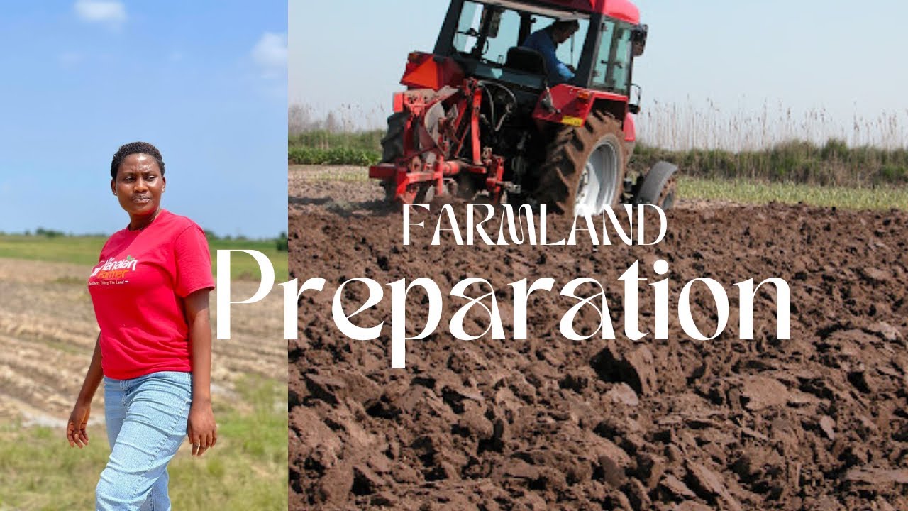 ‼️Update‼️Our 6.3 Acres Farm Land Preparation In Eastern Region Still Ongoing || Guess How Much 😳