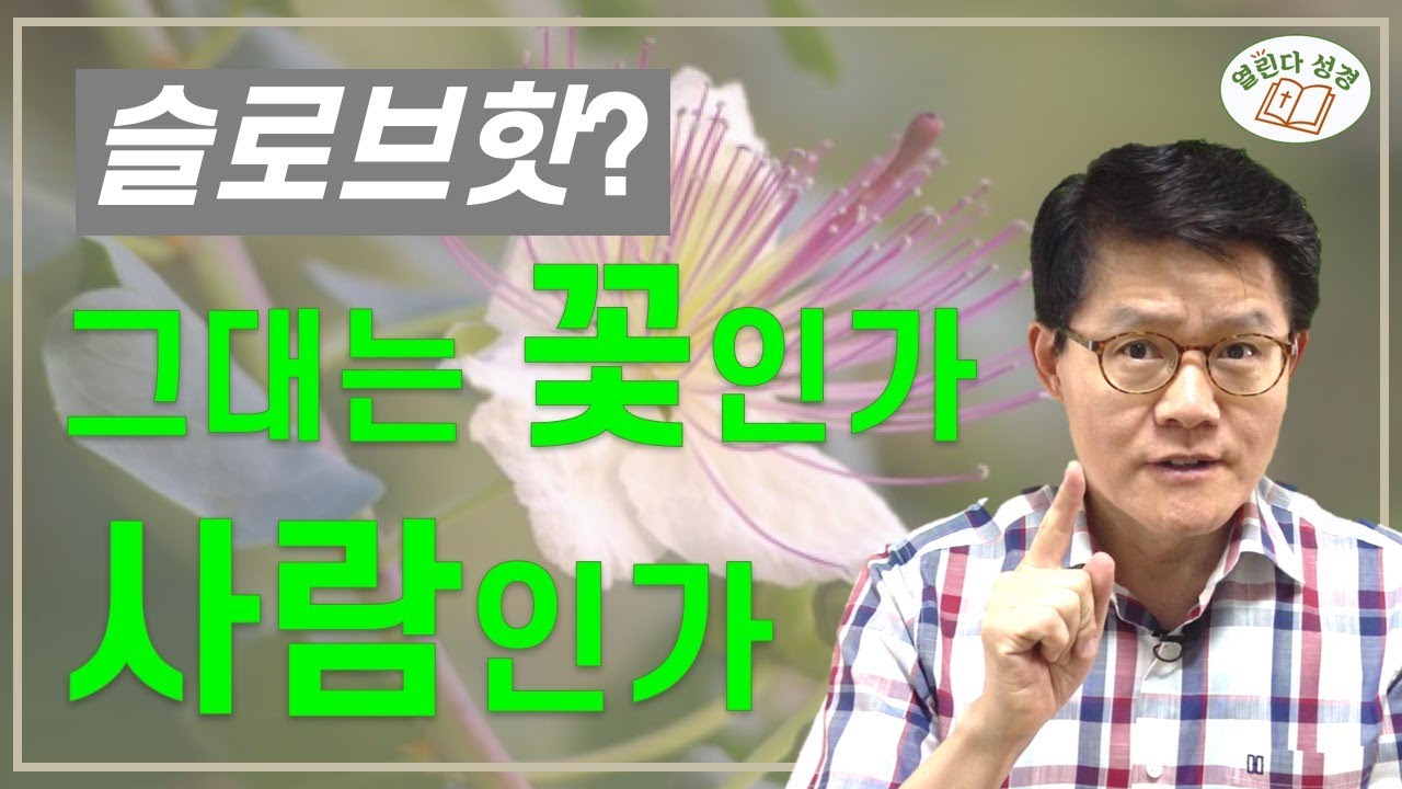 [열린다성경17] 🌹아무도 모르는 전도서의 '원욕', 이게 슬로브핫! | 식물(17)