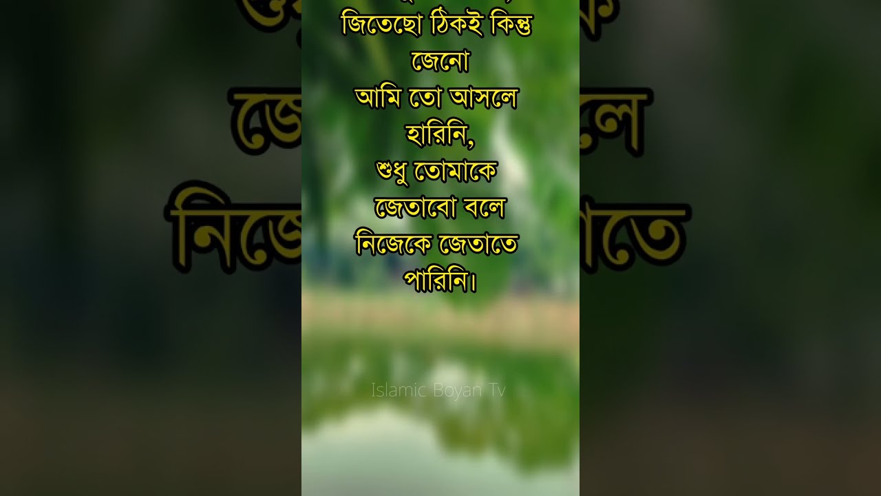 আমার বউ বাপের বাড়ী গিয়ে সব যোগাযোগ বন্ধ করে দিয়েছে। 💔😒