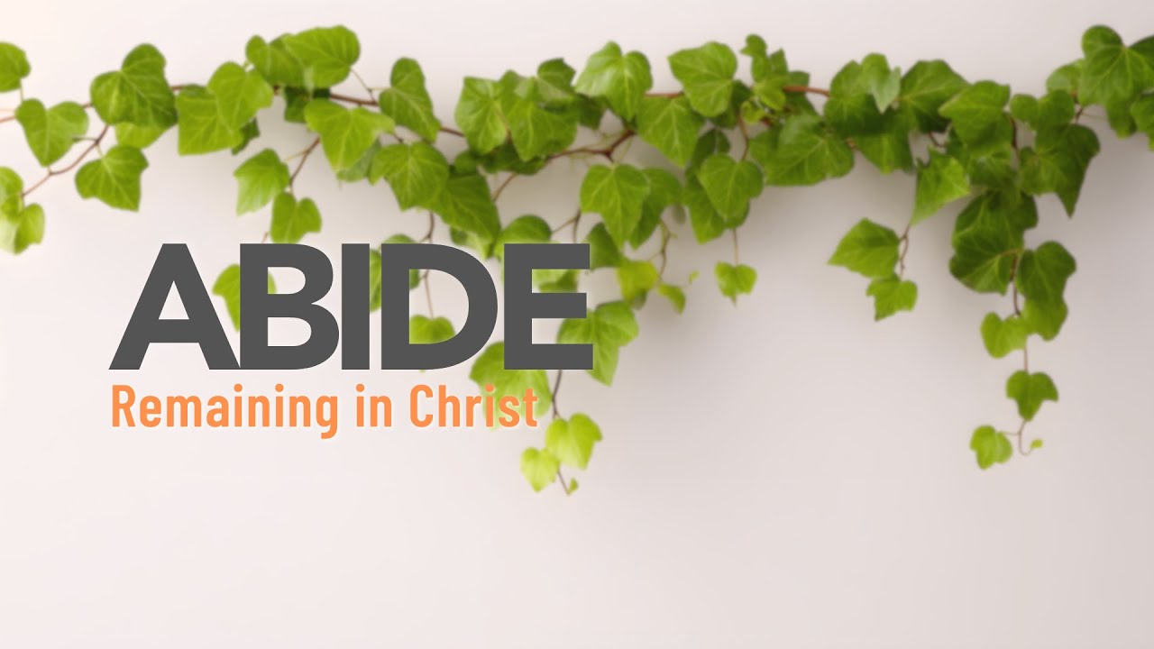 Sunday 8th February 2026 | Abide |