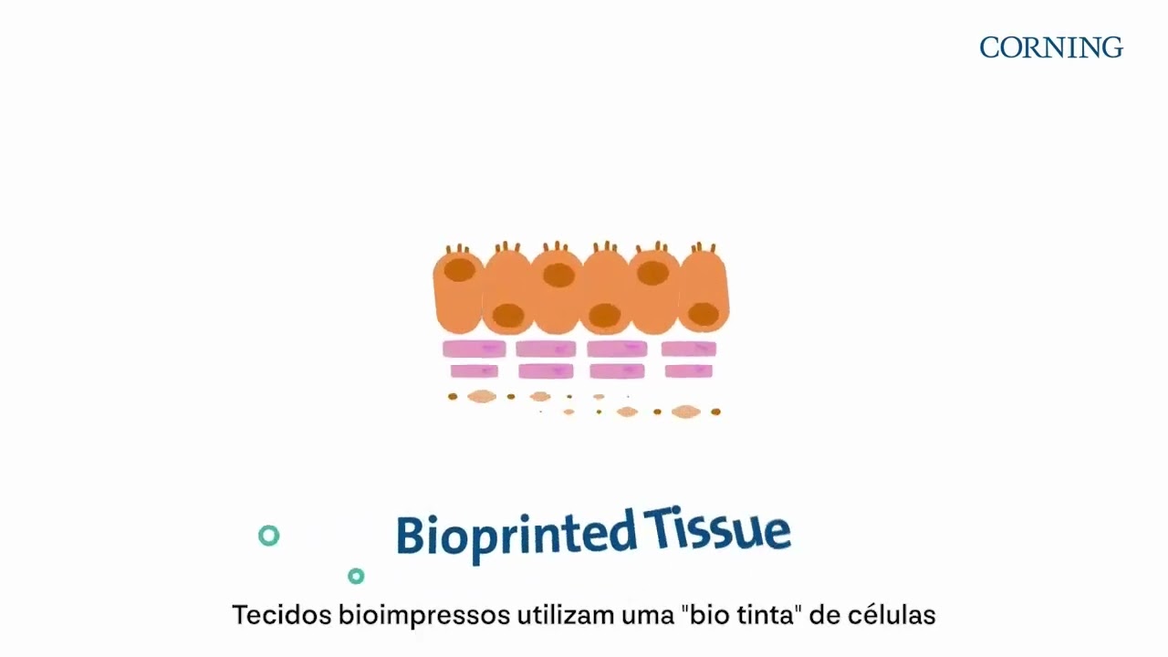 Como Escolher Modelos de Cultura de C&eacute;lulas em 3D