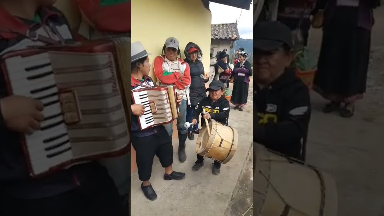 M&Uacute;SICOS DE SARAGURO