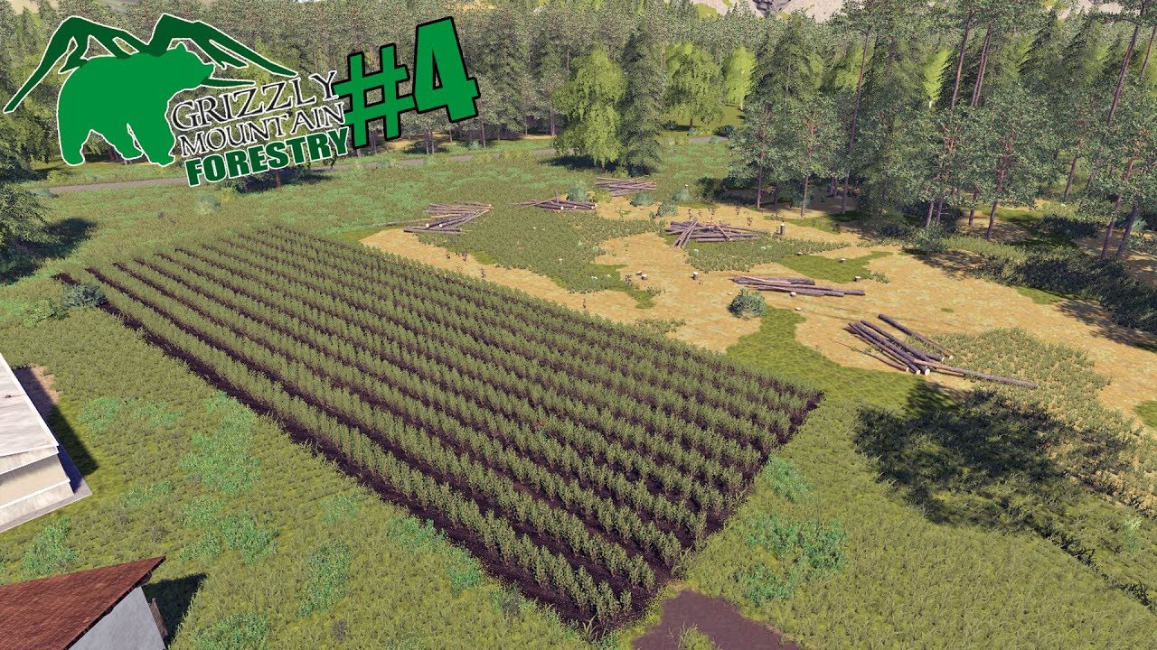 Grizzly Mountain Forestry   Timelapse Series #4   FS19