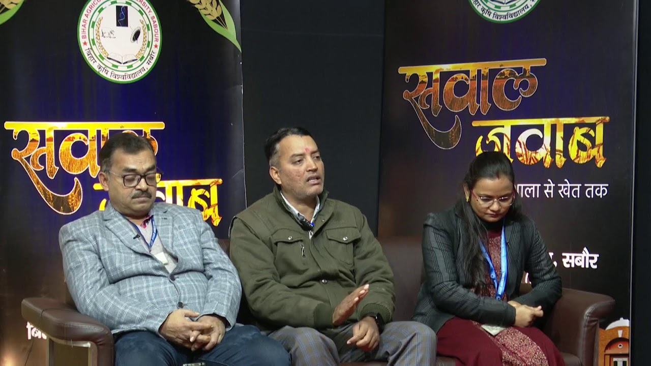सवाल-जवाब 