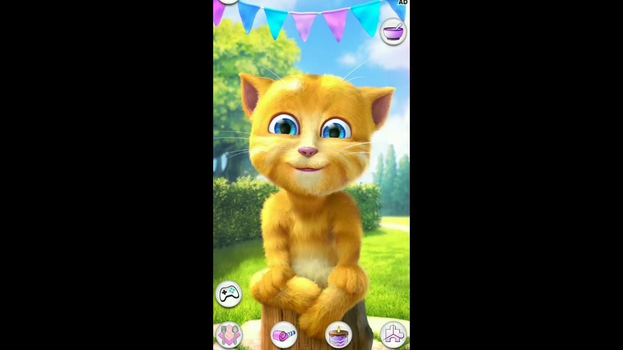 Talking Ginger Live Streaming