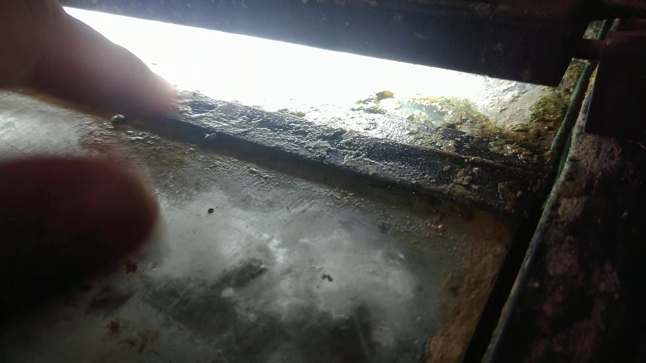 3D Printing parts to prevent crayfish from escaping the tank