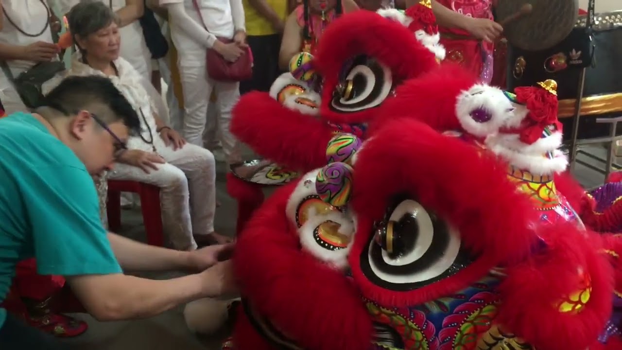 南洋醒獅學院 Namyang Arrived & Lion Dance Cai Qing Performance at Lian Tian Tan 20 May 2023