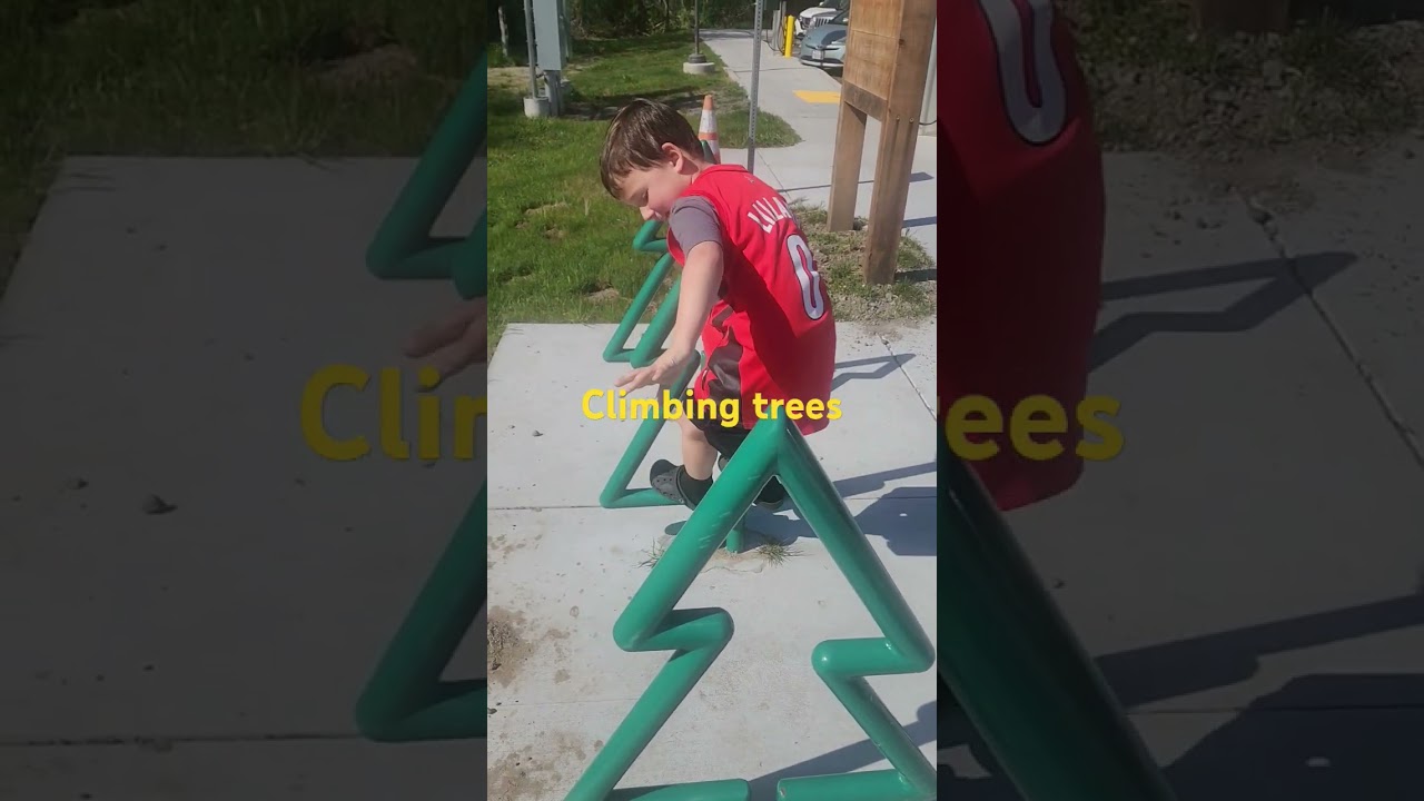Climbing treeeez