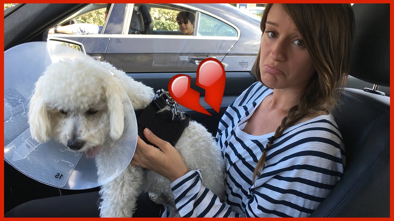 OUR BABY IS BROKEN!