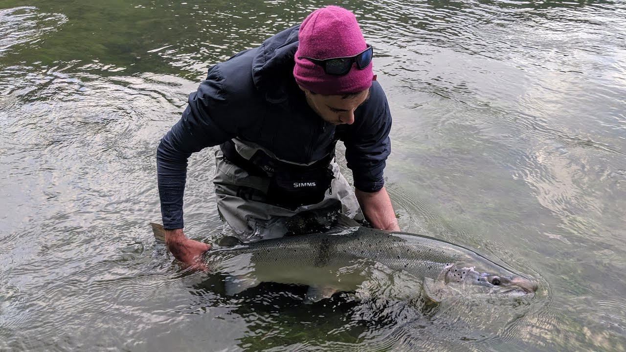 Moments: Monsterlaksen fra 2019