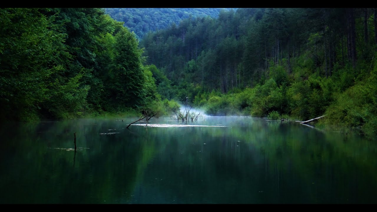 &Scaron;ARANOLOV NA LE&Scaron;ĆU, DIVLJINA I LJEPOTA