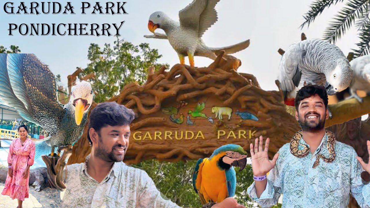GARUDA PARK PONDICHERRY | கருடா பார்க் |BIRDS THEME PARK | SNAKE IN HAND | BIG PARROT|MERKUTHODARCHI