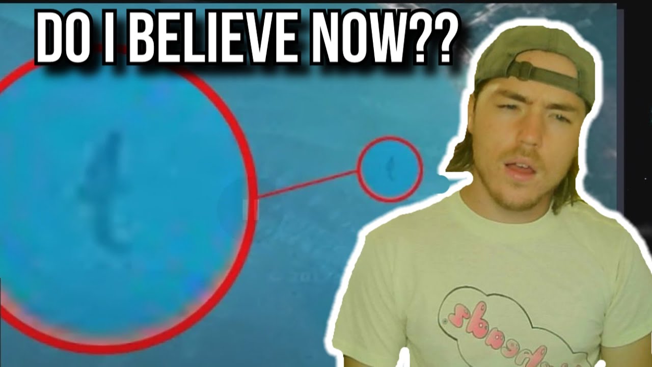 The Most CONVINCING Megalodon Proof Video I've Ever Seen!!