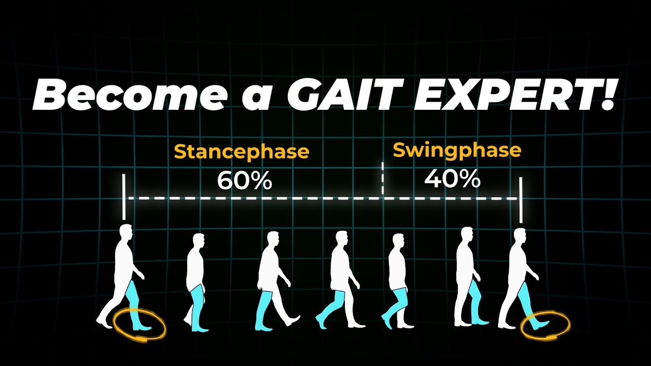 The GAIT CYCLE explained! Orthotist & Prosthetist Edition!