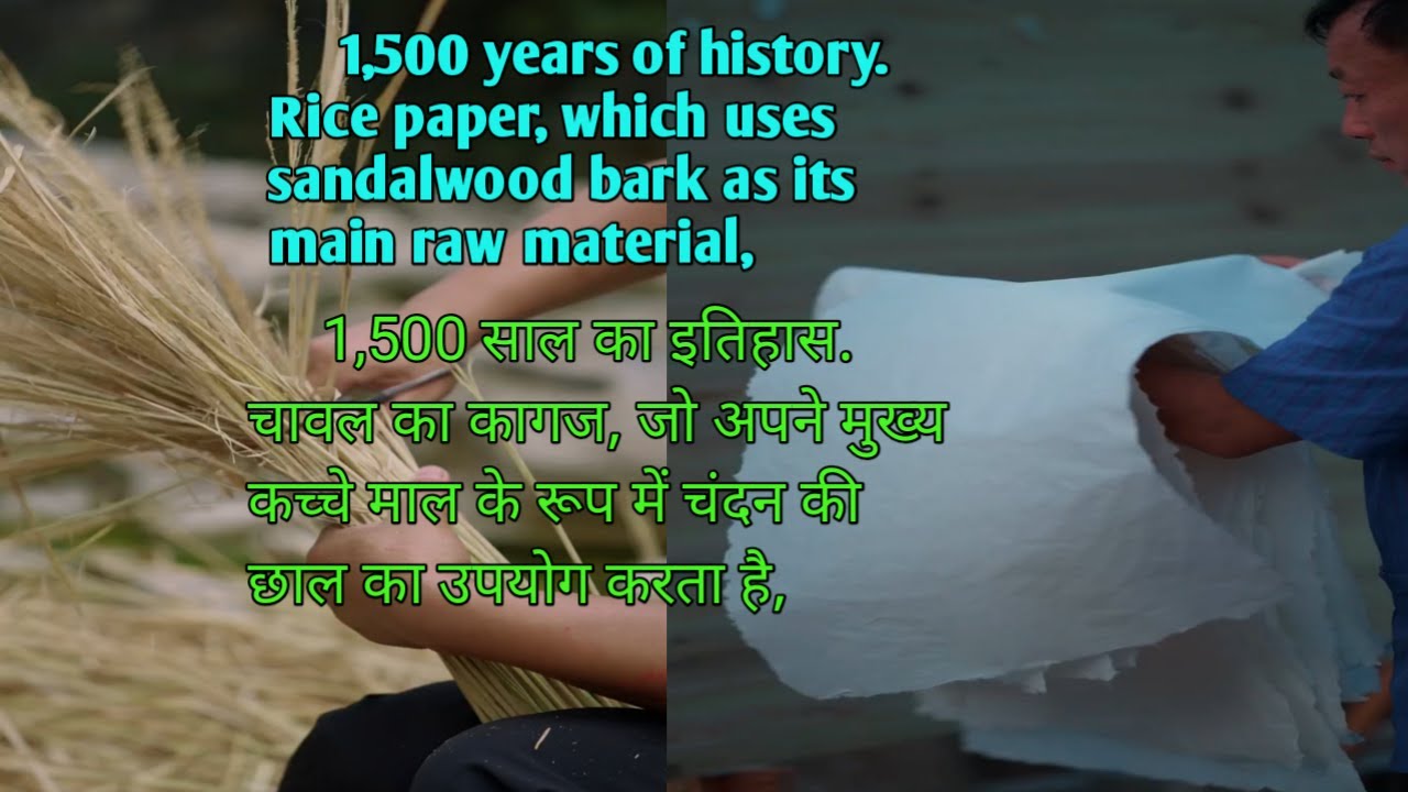 Rice paper, which uses sandalwood bark as its main raw material | चावल का कागज, जो अपने मुख्य कच्चे