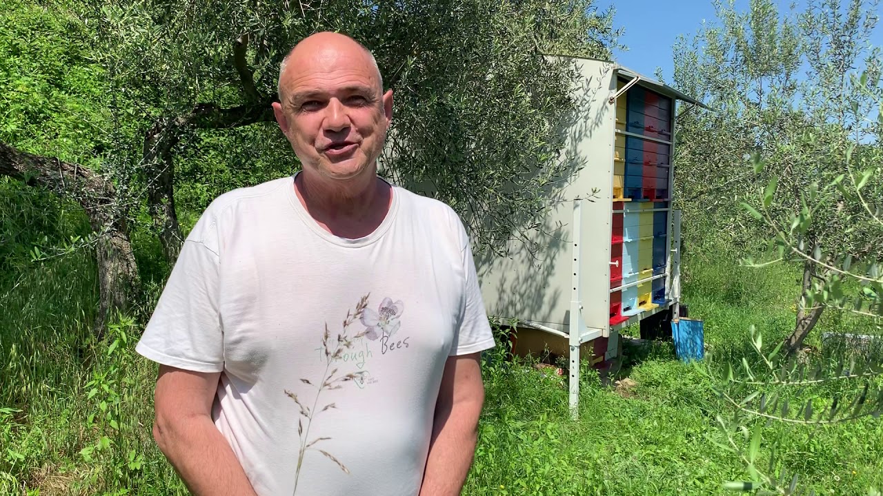 Miha Nov&scaron;ek, Čebelar Na Domačiji Butul