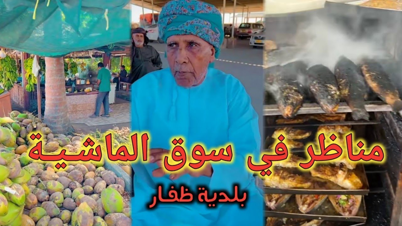 مناظر في سوق الماشـيـة, بلدية ظفـار | محمد المخيني