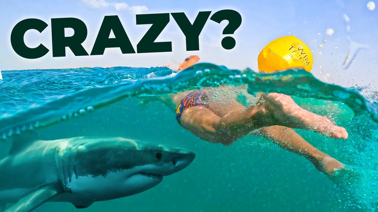 What They Don't Tell You About Swimming In The Sea