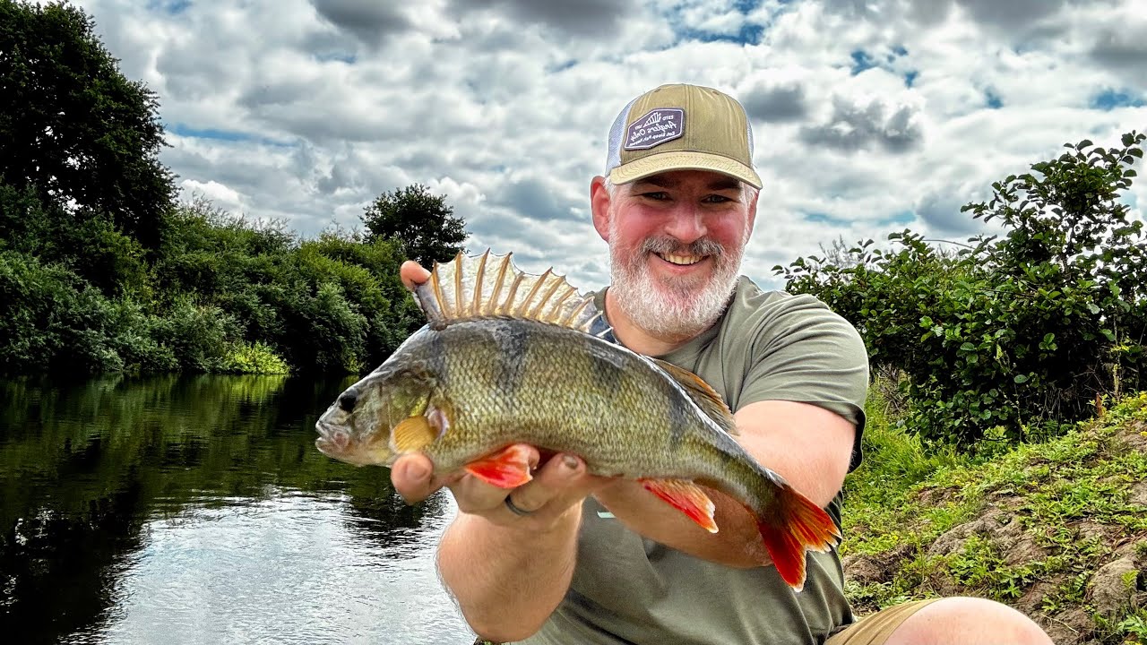 My biggest perch of the season so far!