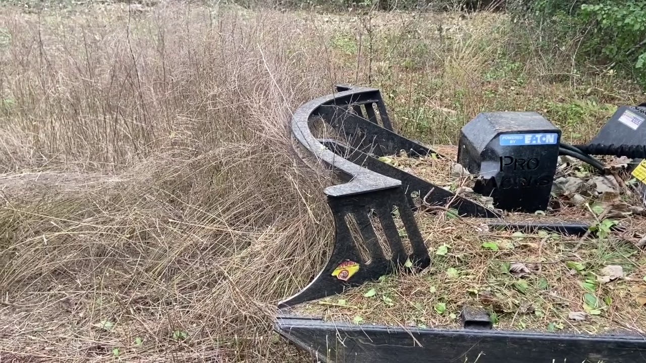 Overgrown lot clearing in Marietta, GA Cobb County