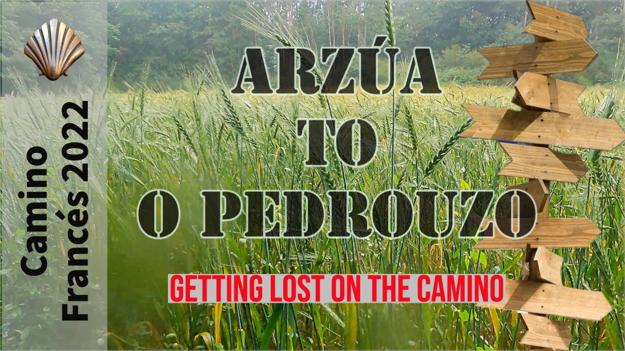Camino Franc&eacute;s 2022--Arz&uacute;a to O Pedrouzo