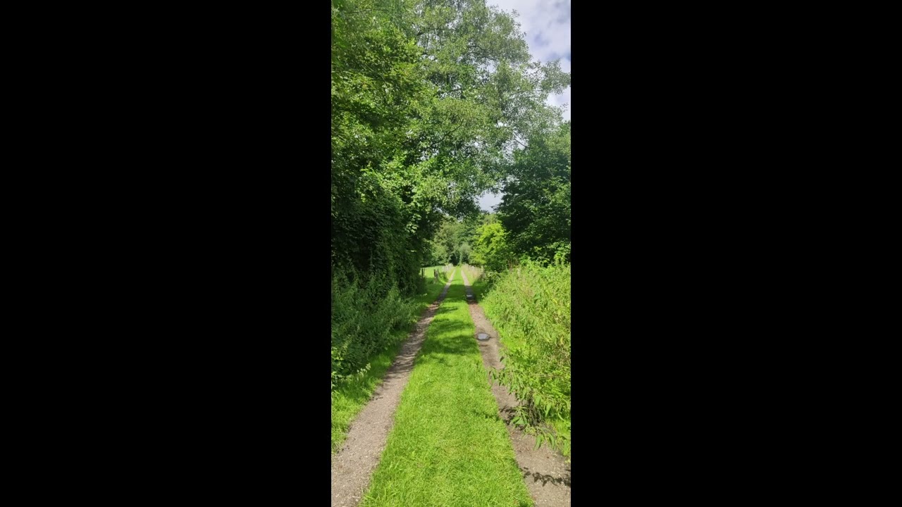 nature   sunny day at the river and the lake    PROD  by DocWho