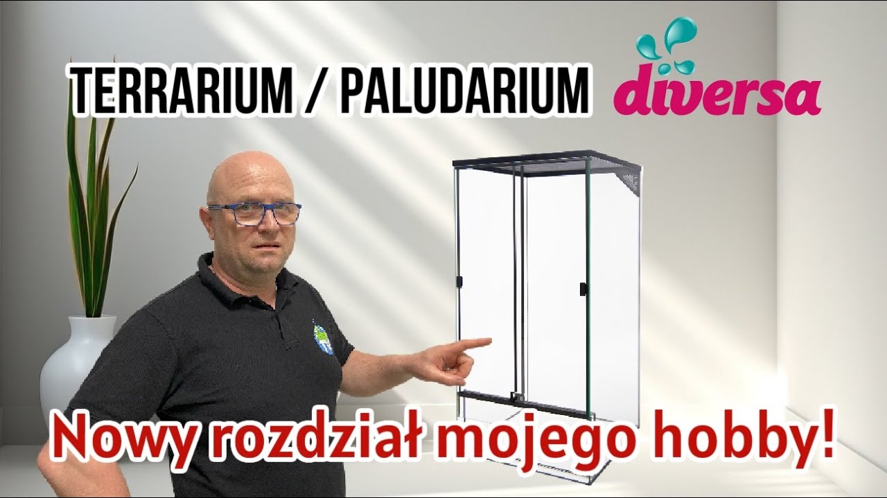 Terrarium - Paludarium Diversa | Nowy Rozdział Mojego Hobby!