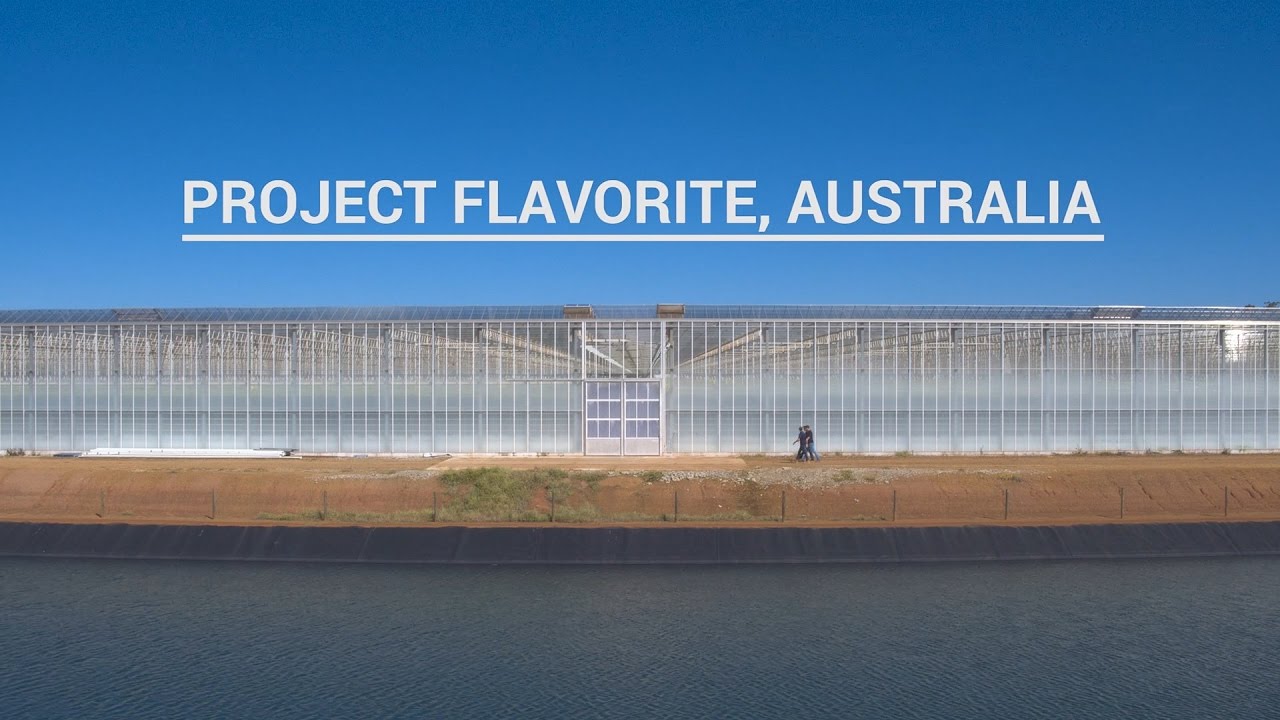 Project movie: Flavorite, Australia | Van der Hoeven Horticultural Projects