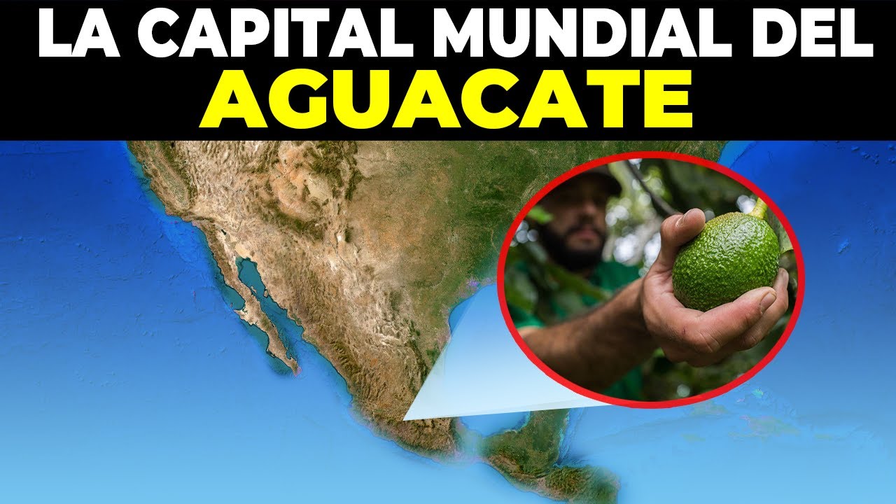 La privilegiada tierra Mexicana que vio nacer el primer aguacate del MUNDO