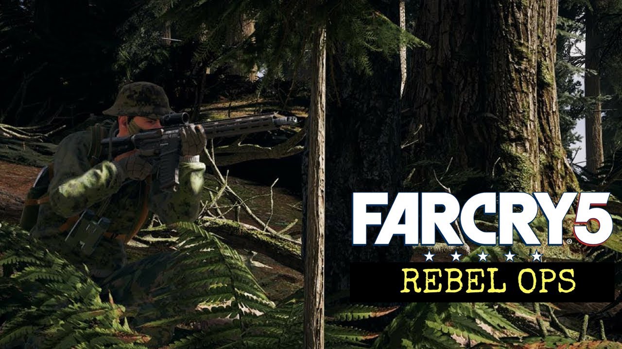 Rebel Operations - Liberation of Fang Centre - Immersion Co-op - No HUD - FAR CRY 5