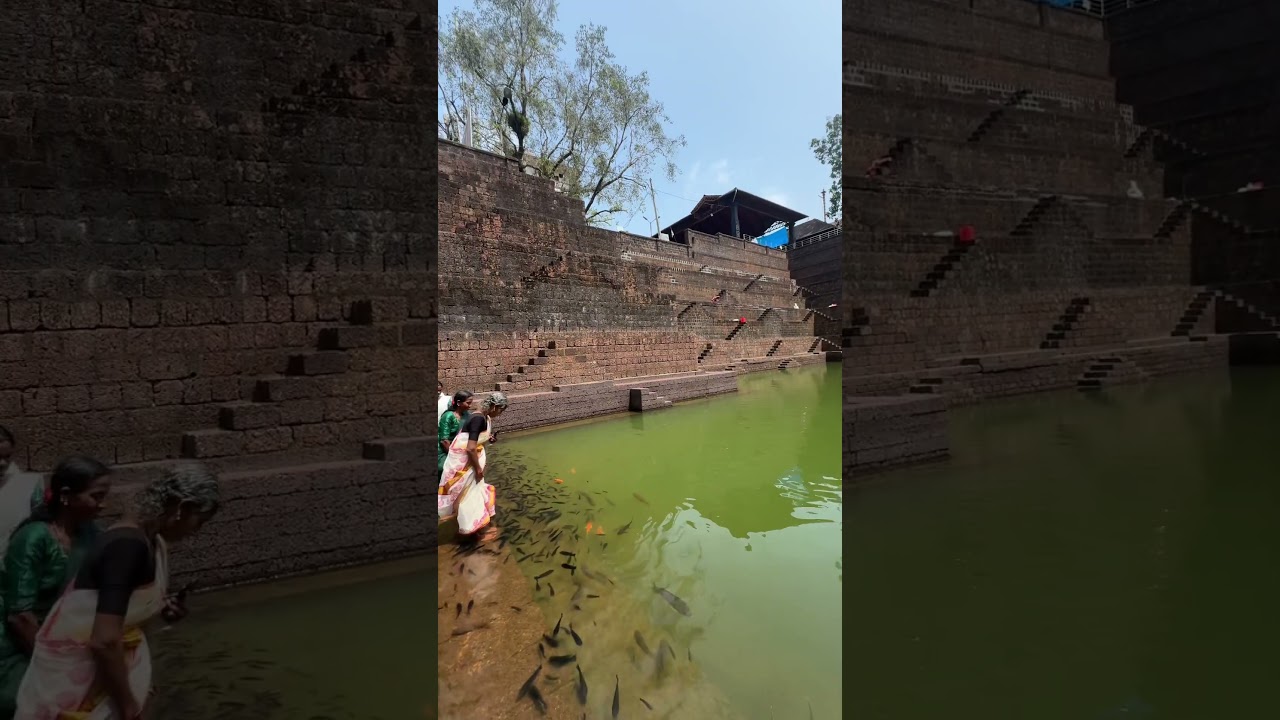 Peralassery Temple pond  #kannur #ambalam #temple #perlassery #hitsong #song