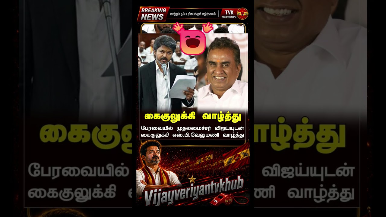 TVK || manadu #thalapathyvijay #thalapathy #youtubeshorts #shorts #fyp #vijay#jananayagan#cmvijay 💞✨