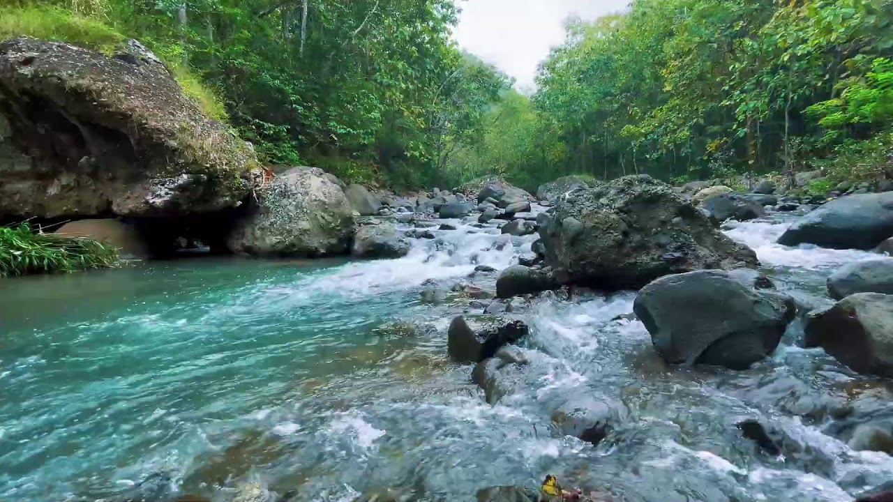 River Sounds for Deep Sleep (No Music, Natural Water)