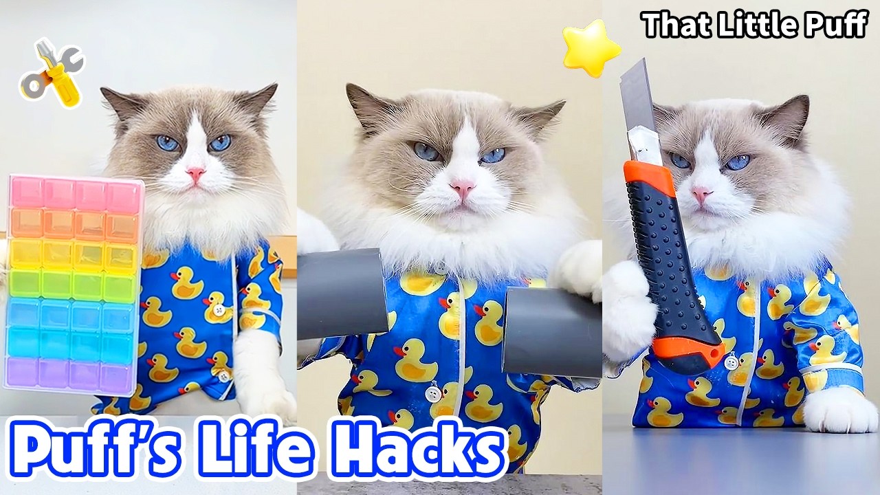30 самых полезных лайфхаков, которые вам нужно знать 🔥 | That Little Puff