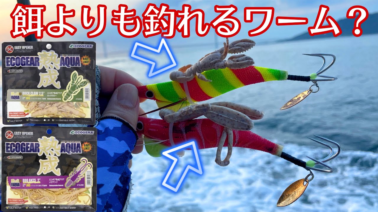 【明石タコ釣り】エサよりも釣れると噂のワームを付けてタコはよく釣れるのか⁉️ ＃エコギア ＃熟成アクア ＃マルキュー