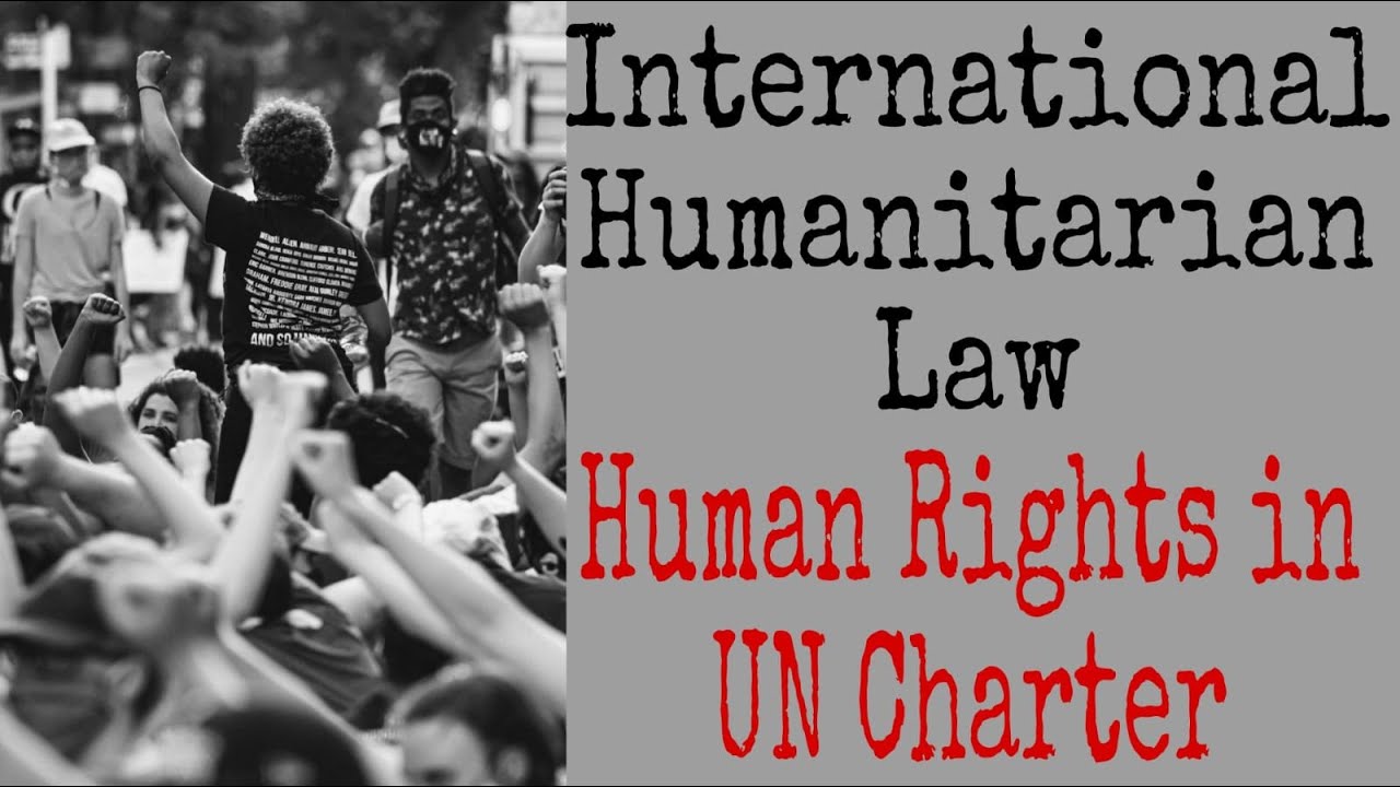 UN & Human Rights: What They Don’t Tell You!