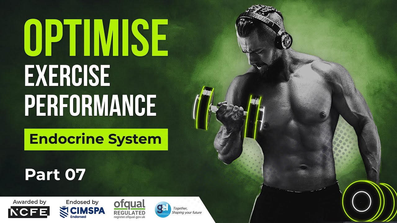 All about the Endocrine System I Level 3 Diploma in Personal Training