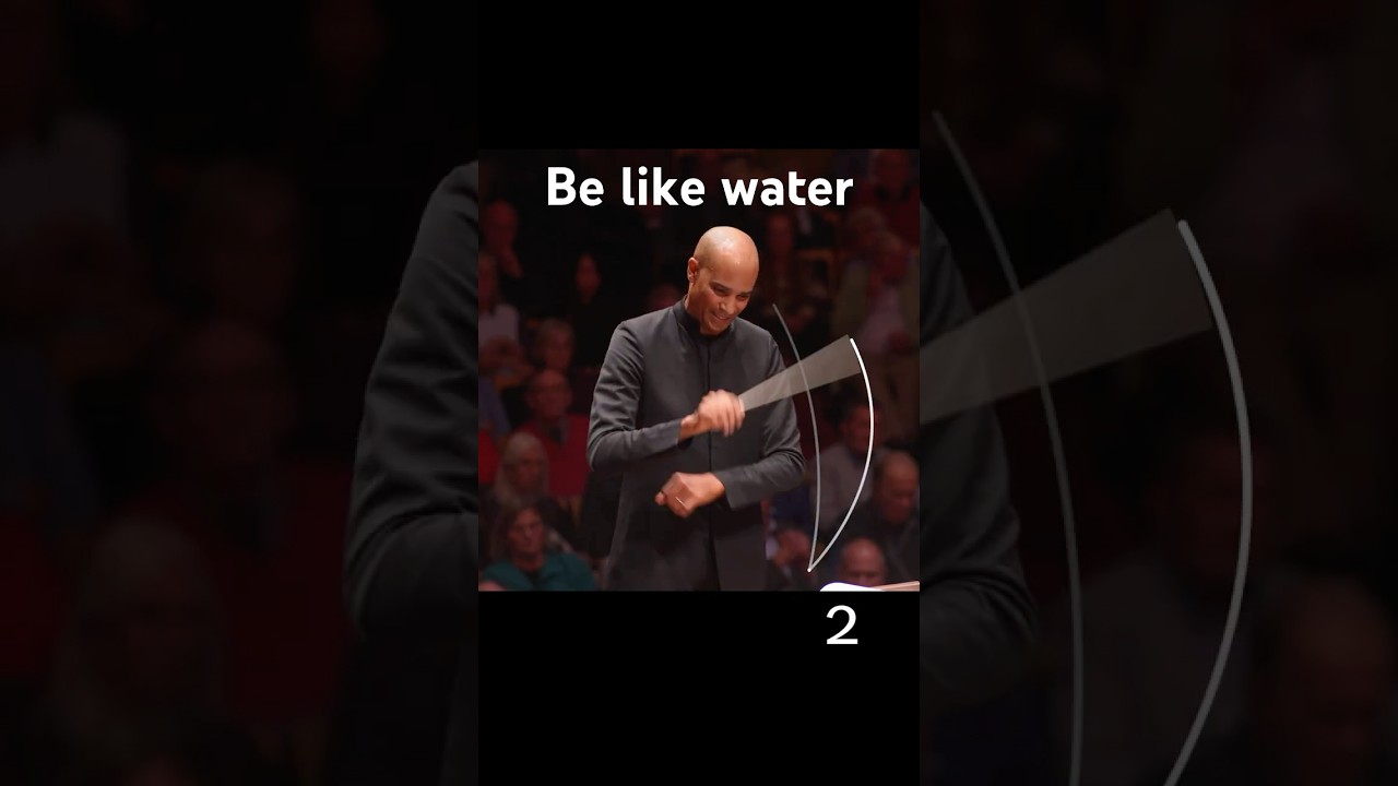Float like a butterfly, sting like a bee #conductor #classicalmusic #orchestra #symphony #music