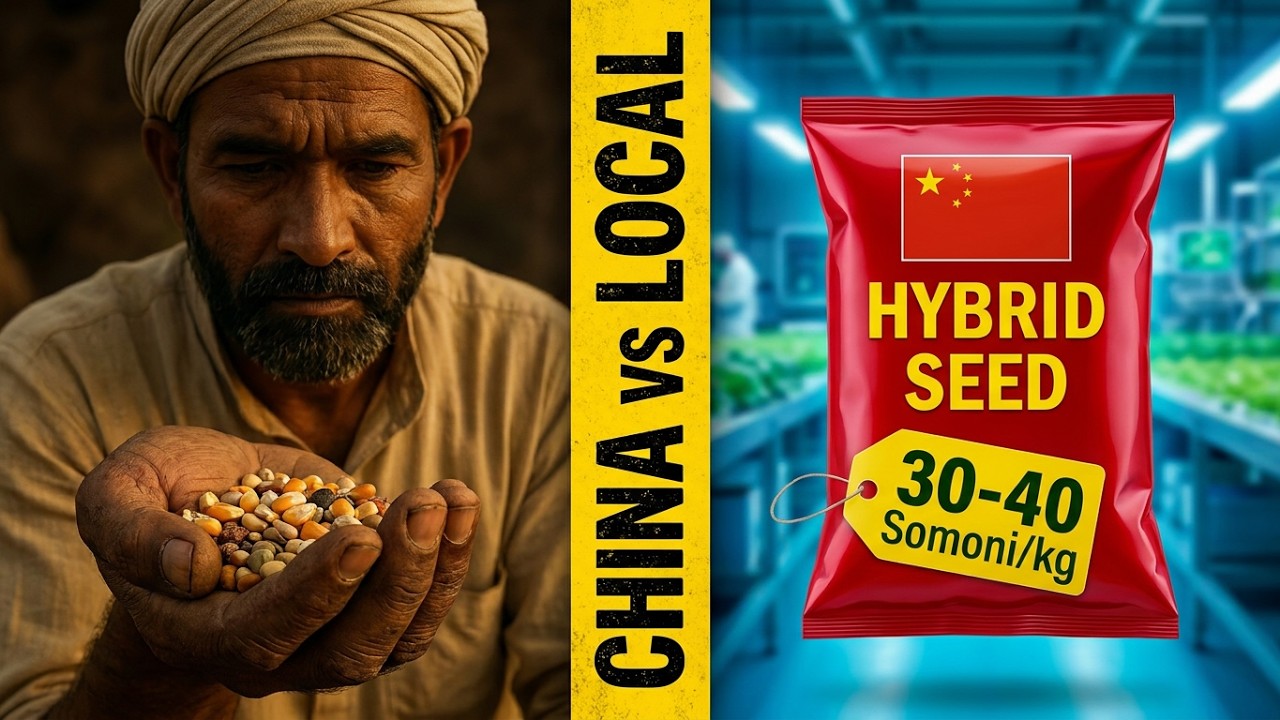 𝗪𝗛𝗢 𝗖𝗢𝗡𝗧𝗥𝗢𝗟𝗦 𝗢𝗨𝗥 𝗦𝗘𝗘𝗗𝗦? 𝗜𝗦 𝗜𝗧 𝗧𝗛𝗘 𝗘𝗨𝗥𝗢𝗣𝗘𝗔𝗡 𝗨𝗡𝗜𝗢𝗡 𝗢𝗥 𝗖𝗛𝗜𝗡𝗔?   #viralvideo #politics #podcast #farming