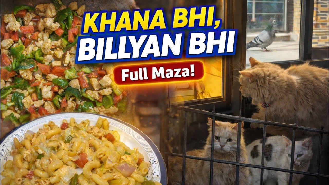 Khana Bhi 🍝 Billyan Bhi 😺 | Cooking + Cute Cats | Full Maza Vlog