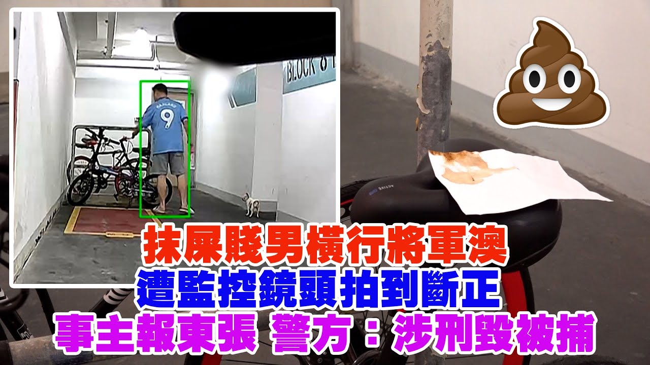 東張西望｜抹屎賤男橫行將軍澳 遭監控鏡頭拍到斷正 事主報東張 警方：涉刑毀被捕｜抹屎｜賤男｜將軍澳｜刑毀｜梁菁琳