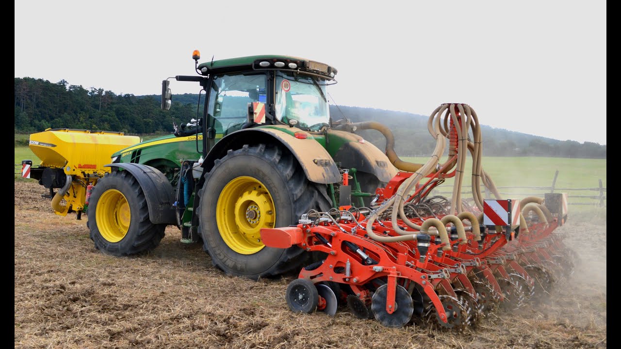 Oilseed rape seeding