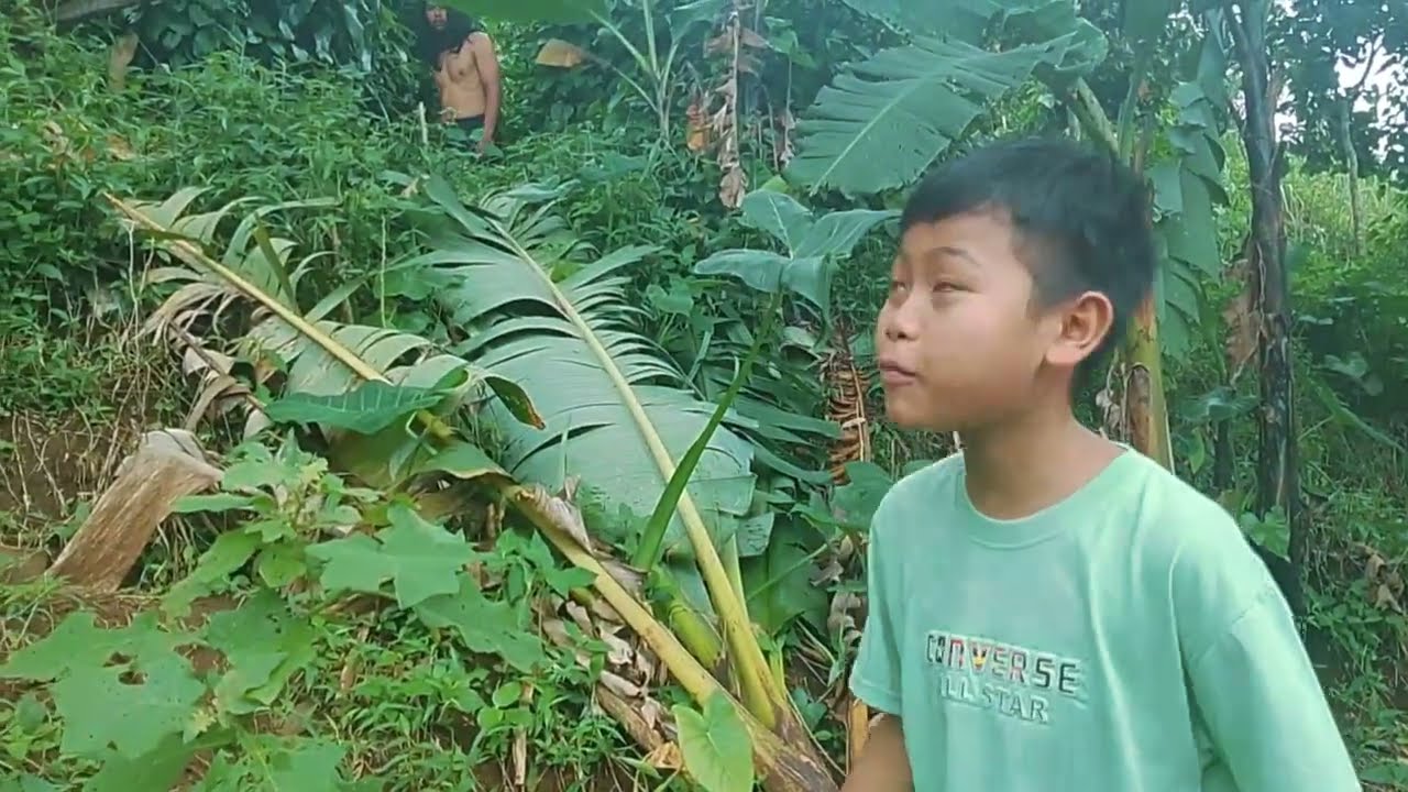 Petualang ke kebun ktemu mahluk apa