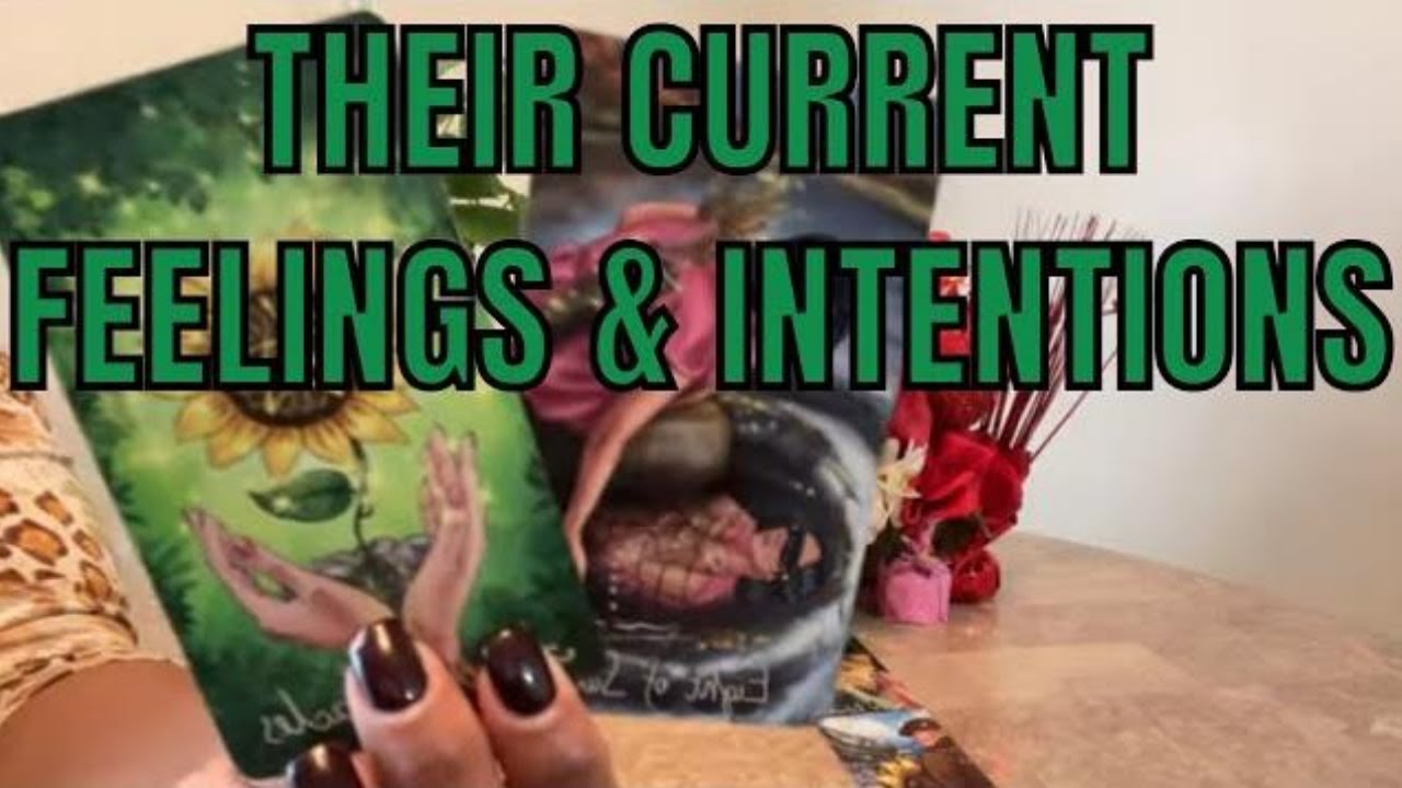 All Signs Tarot Love Their Current Feelings and Intentions