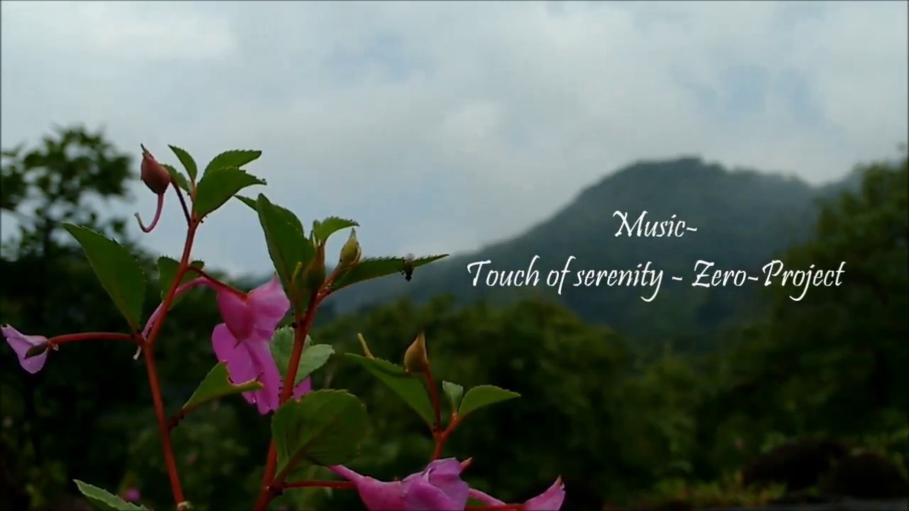 Monsoon time lapse | Western Ghats