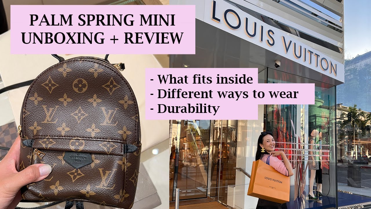 LOUIS VUITTON Palm Spring Mini Backpack Review (What Fits Inside, How to Wear, Durability + more!)